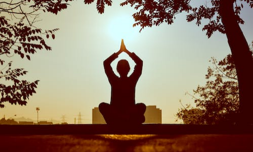 a person meditating in a garden